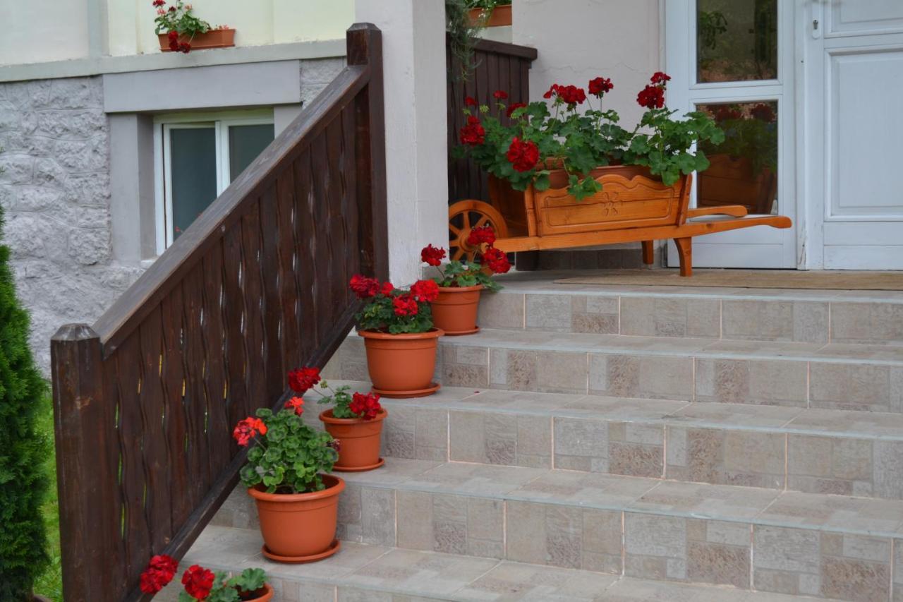 Pension Rose-Trandafirul บอร์เซค ภายนอก รูปภาพ